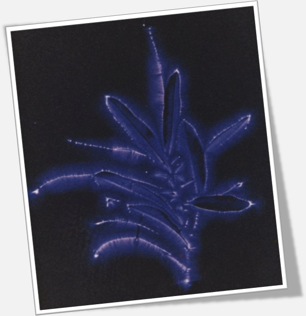 Sample Kirlian Photograph